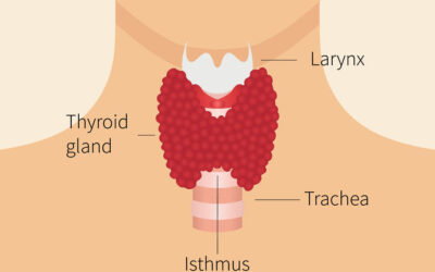 What Causes Thyroid Disorders